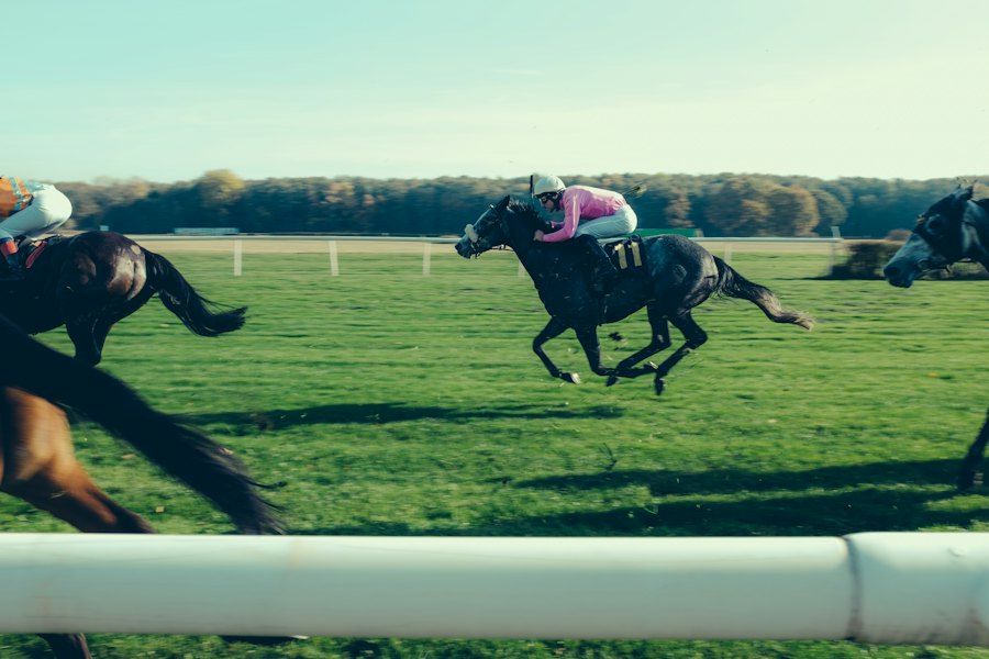 Field of racehorses at full stride